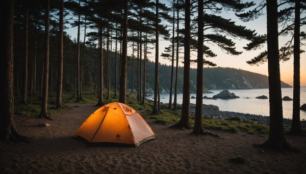 Hébergements saisonniers en mobil-home : focus sur l'occitanie