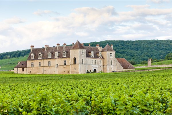 Pourquoi choisir un camping pas cher dans le luberon pour vos vacances en famille ?